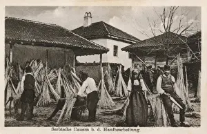 Serbian Hemp workers