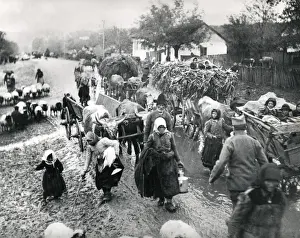 Refugees Prints: Serbian refugees during retreat, Macedonia, WW1