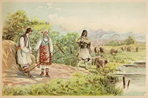 Flocks Prints: SERBIAN SHEPHERDS