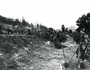 Images Dated 2nd December 2011: Serbian troops constructing defences, WW1