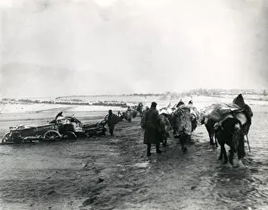 Marshes Prints: Serbian troops retreating near Scutari, WW1