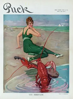Serenade Prints: The serenade