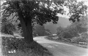 Serene Country Road