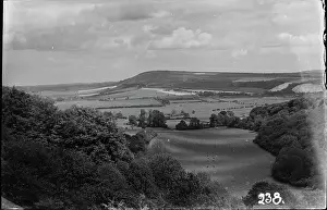 Serene Countryside Landscape