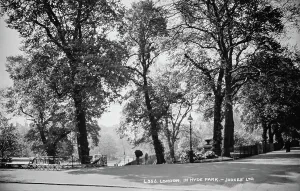 Londons Prints: A Serene Day in Hyde Park