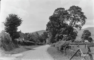 Dirt Prints: A Serene Path in Malvern