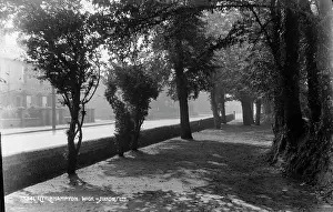 Littlehampton Prints: A Serene Pathway in Littlehampton