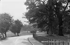 Walmer Prints: A Serene Pathway in Walmer