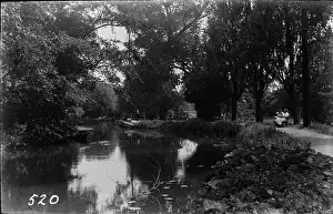 Serene Riverbank Scene