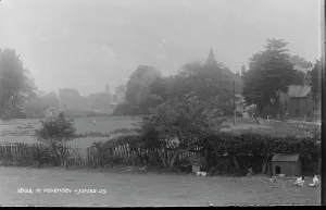 Grassy Prints: A Serene View of Pevensey