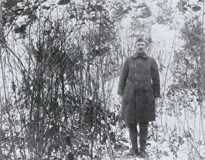 Alvin Gallery: Sergeant Alvin C York, American soldier, WW1