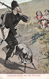 Images Dated 1st August 2011: Sergeant Dooley and the Puccaun