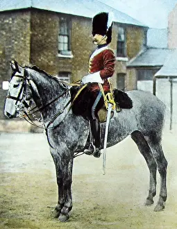 Sergeant Major in the 2nd Dragoon Guards Victorian period