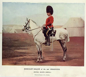 Greys Collection: Sergeant-Major of the 2nd Dragoons, Royal Scots Greys