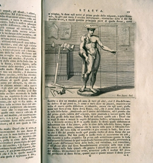 SESONI, Francesco (1705-?); ALBERTI, Leon Battista (1404-147 SESONI, Francesco (1705-?); ALBERTI, Leon Battista (1404-147