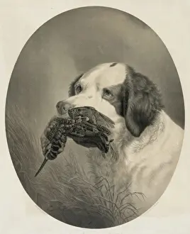 The setter of duty