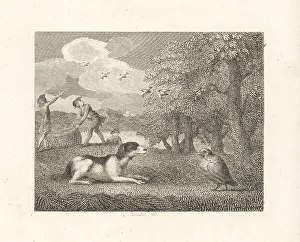 The Setting-Dog and the Partridge