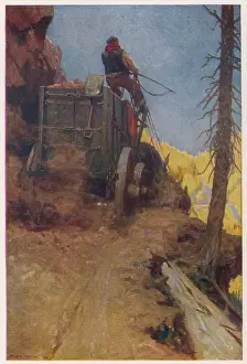 Settler / Downhill / Outing