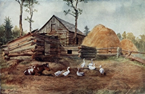 Homestead Gallery: Settlers Homestead