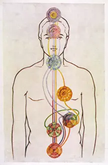 Seven Chakras