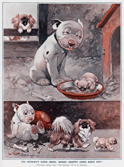 Pedigree Gallery: The Seven Good Deeds of Bonzo (Sunday)