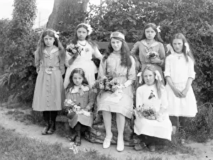 Seven sisters in a garden, Mid Wales