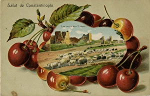 Images Dated 25th January 2012: Seven Towers, Constantinople, Turkey