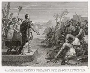 Severus Alexander & Men