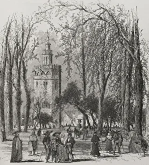 Harley Prints: Seville, Andalusia, Spain. Torre del Oro (Tower)
