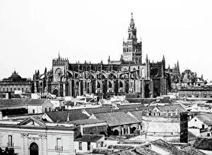Seville Collection: seville cathedral spain