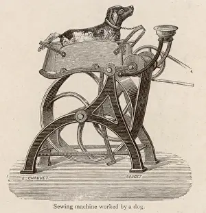 Sewing Machine Dog Power