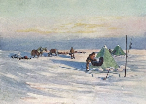 Images Dated 17th January 2012: Shackleton on Ice