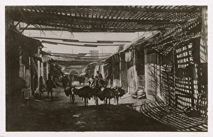 Images Dated 6th June 2017: Shaded bazaar in the Souk, Fez (Fes), Morocco