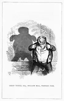 Substance Prints: Shadow drawing. C. H. Bennett, Green Turtle