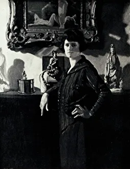 Ornamental Collection: Shadows