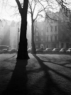Winters Collection: Shadows in a London square