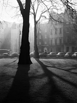 Shaft Collection: Shadows in a London square
