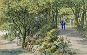 Shady Prints: Shady Walks, Spa Pavilion Gardens, Felixstowe, Suffolk