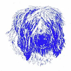 Hairy Prints: Shaggy dog's head - 1950s printer's block