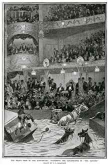 Images Dated 29th March 2019: Shah of Persia visit to London Hippodrome 1902