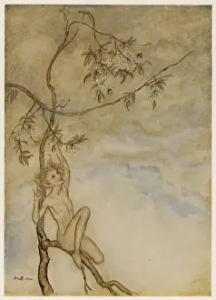 Shakespeare / The Tempest