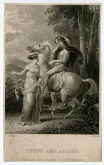Shakespeare - Venus and Adonis