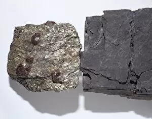 Natural History Museum Collection: Shale (right) and garnet-mica-schist (left)