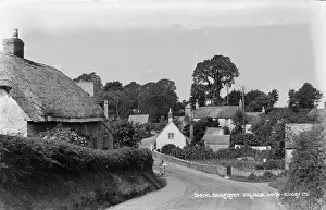 Charm Prints: Shalfleet Village