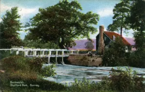 Guildford Prints: Shalford Park, Shalford, Surrey