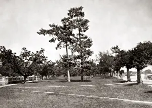 Shameen, Canton, China circa 1880s