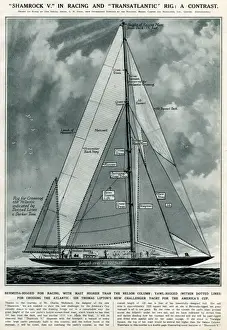 Yacht Prints: Shamrock V yacht by G. H. Davis