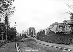 Knock Gallery: Shandon Park, Knock