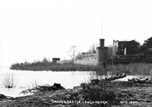 Neagh Prints: Shanes Castle, Lough Neagh