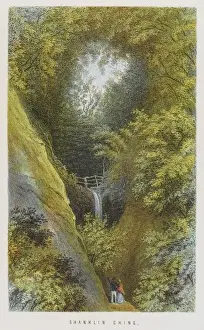 Favoured Prints: Shanklin Chine I. O. W
